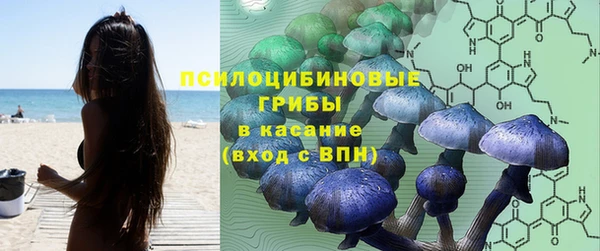 соль ск Волосово